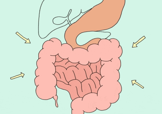 胃腸動力治療儀